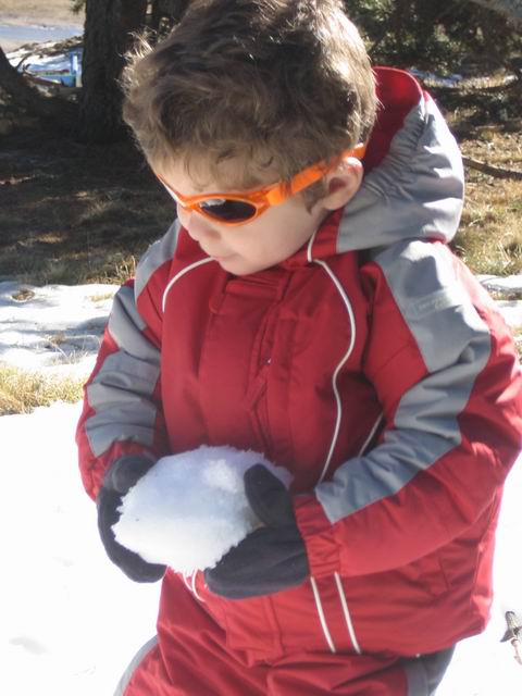2007.03.04.007.jpg