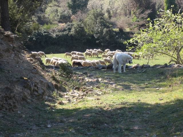 2007.03.18.033.jpg