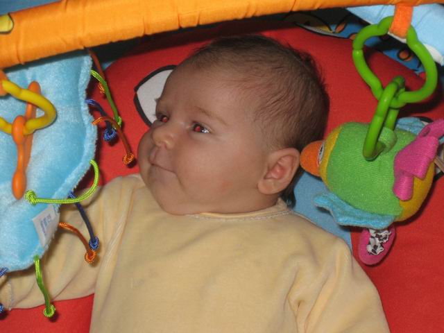 2007.05.20.010.jpg
