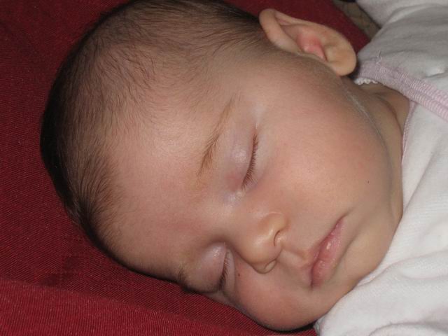 2007.05.28.003.jpg