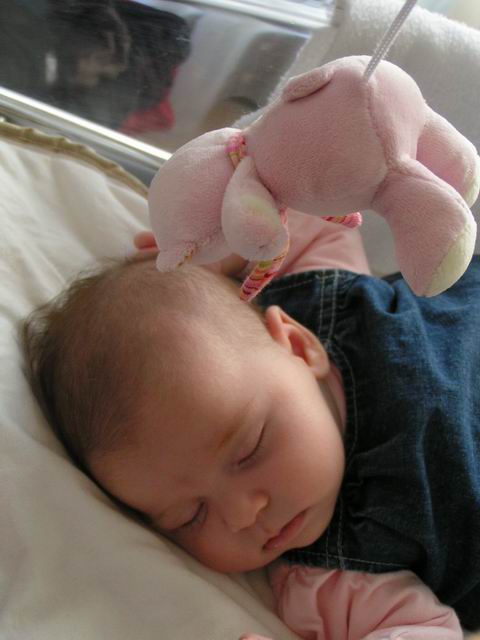 2007.06.05.002.jpg