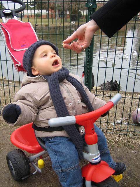 2006.01.16.005.jpg