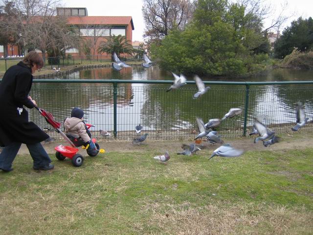 2006.01.16.006.jpg