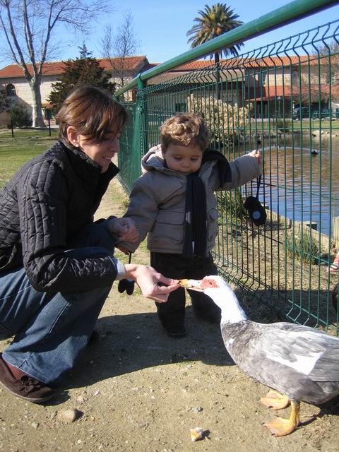 2006.02.11.005.jpg