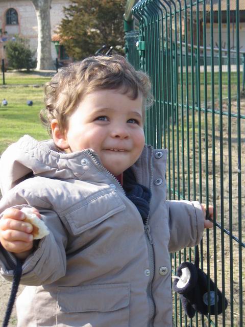 2006.02.16.008.jpg