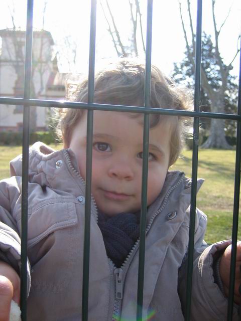 2006.02.16.011.jpg