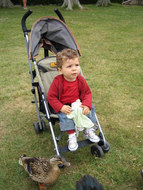 2006.05.12.005.jpg