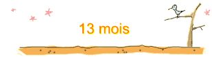 13 mois