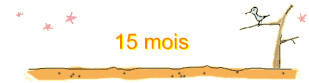 15 mois