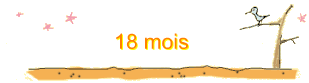 18 mois