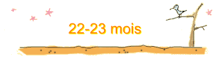 22-23 mois