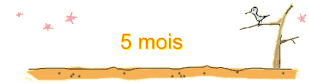 5 mois