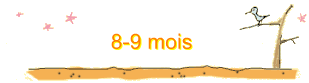 8-9 mois
