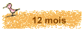 12 mois