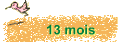 13 mois