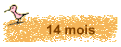 14 mois