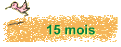 15 mois