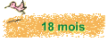 18 mois