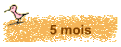 5 mois