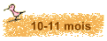 10-11 mois 