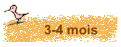 3-4 mois